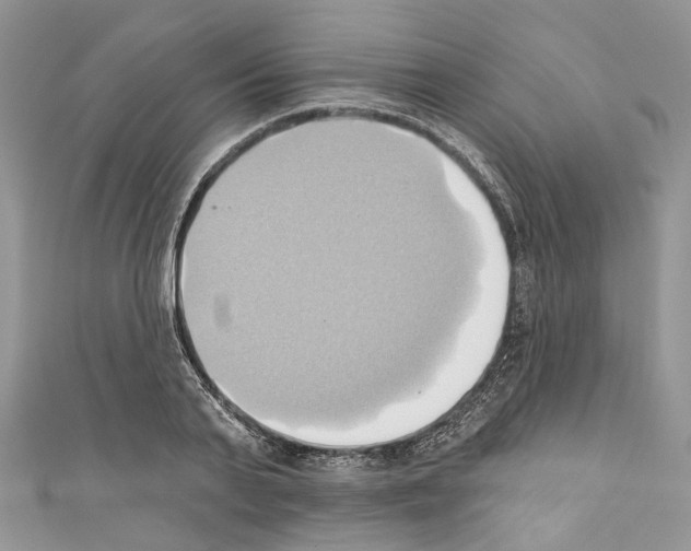 X0000110680791200907241042