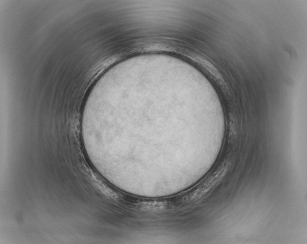 X0000110680793200907241042