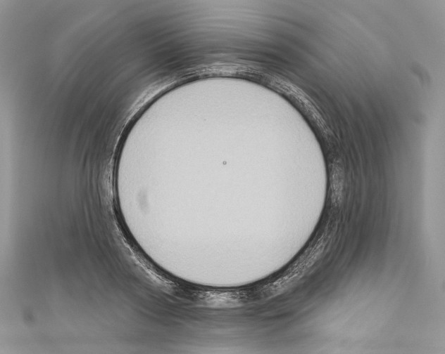 X0000110680794200907241042
