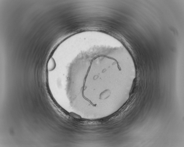 X0000110680795200907241042