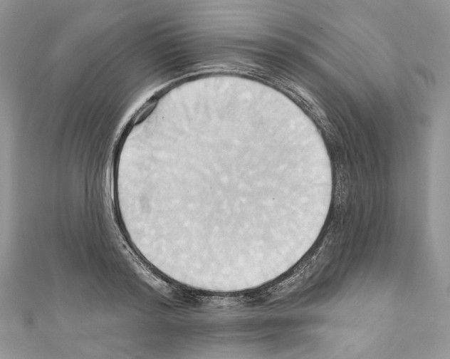 X0000110680796200907241042