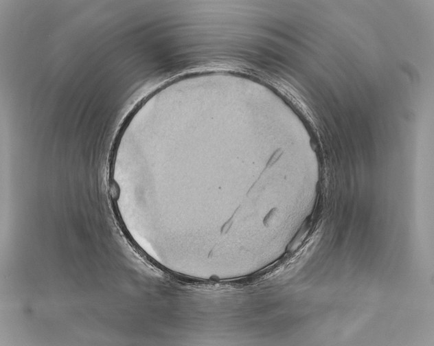X0000110680797200907241042
