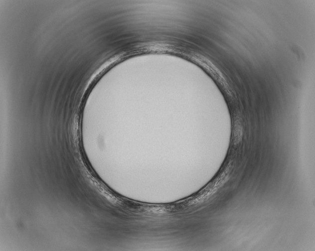 X0000110680798200907241042
