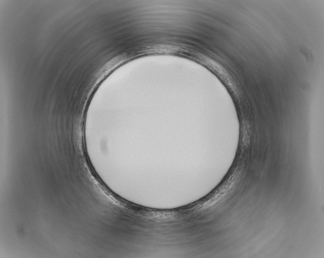 X0000110680802200907241042