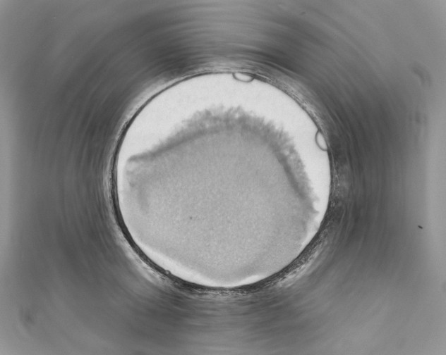X0000110680803200907241042