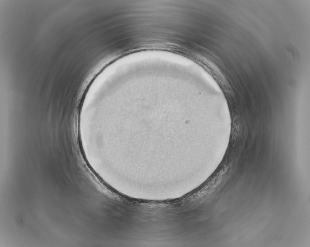 X0000110680804200907241042