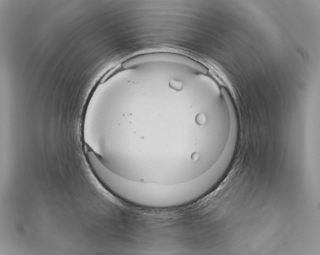 X0000110680805200907241042