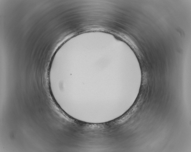 X0000110680806200907241042