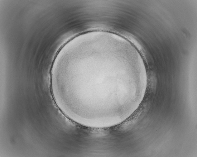 X0000110680807200907241042