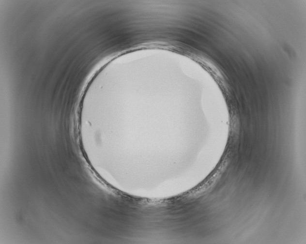 X0000110680808200907241042