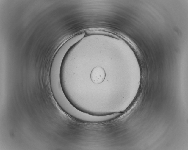 X0000110680809200907241042
