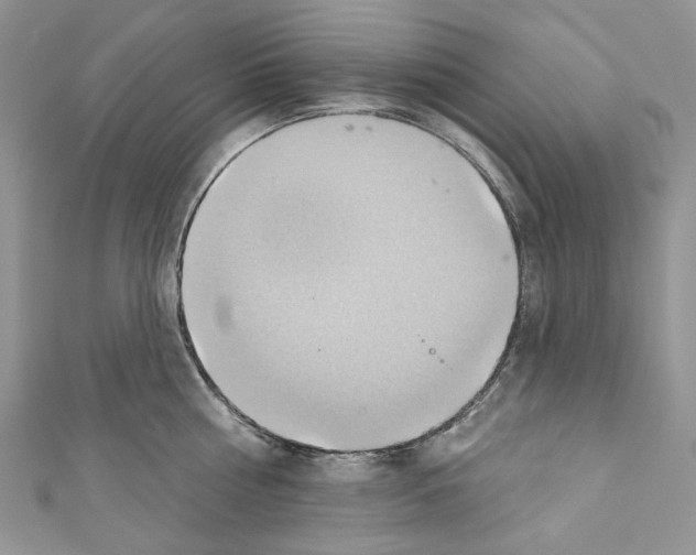 X0000110680810200907241042