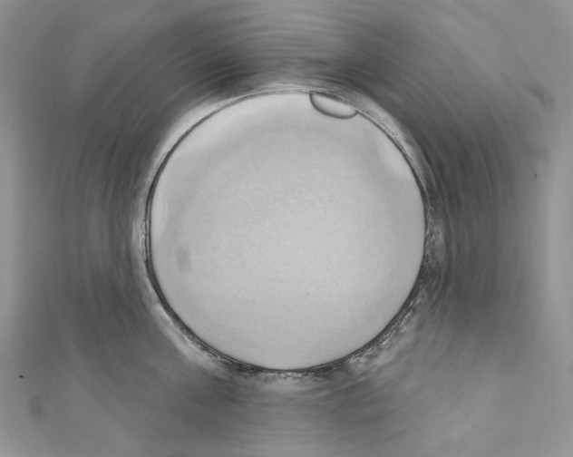X0000110680811200907241042