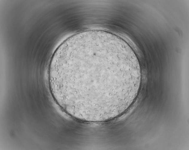 X0000110680814200907241042