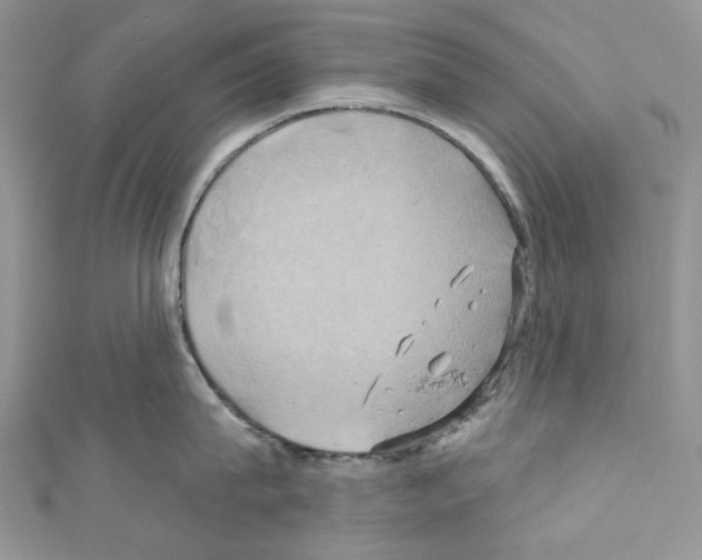 X0000110680815200907241042