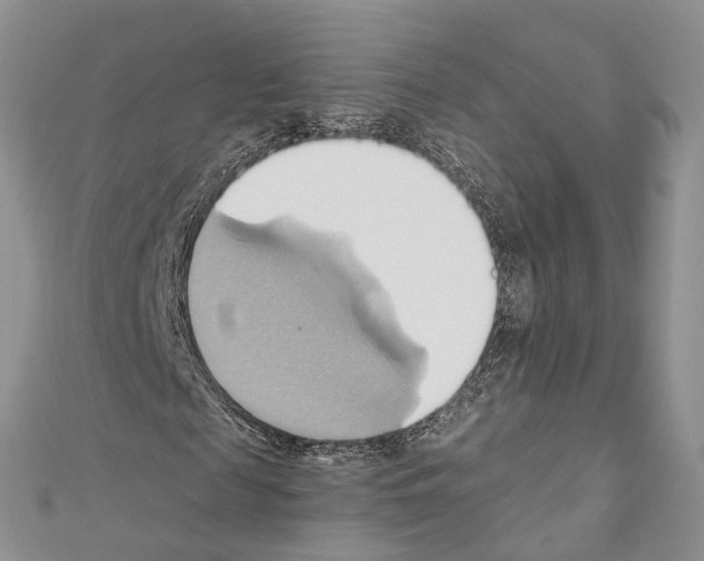 X0000110680817200907241042