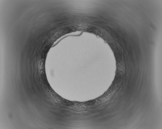 X0000110680818200907241042