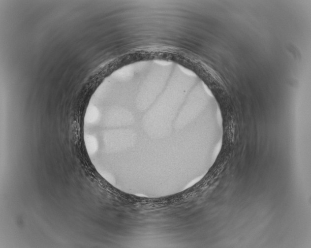 X0000110680821200907241042