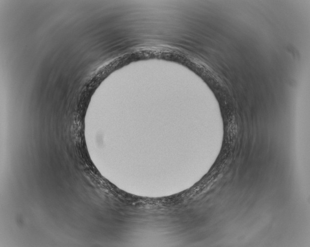 X0000110680822200907241042