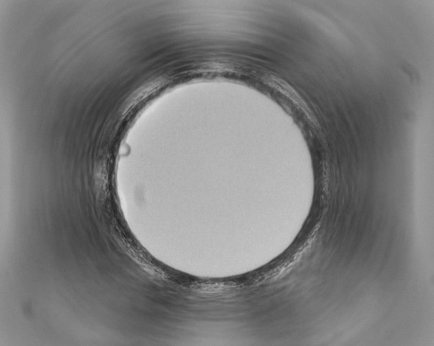 X0000110680826200907241042