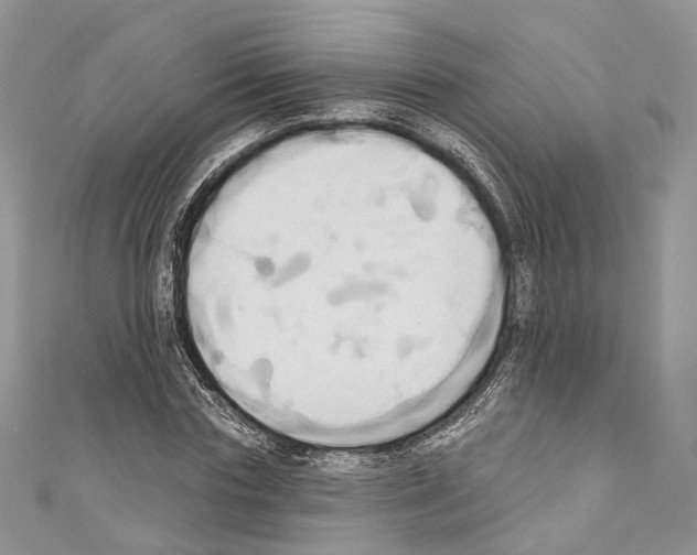 X0000110680827200907241042