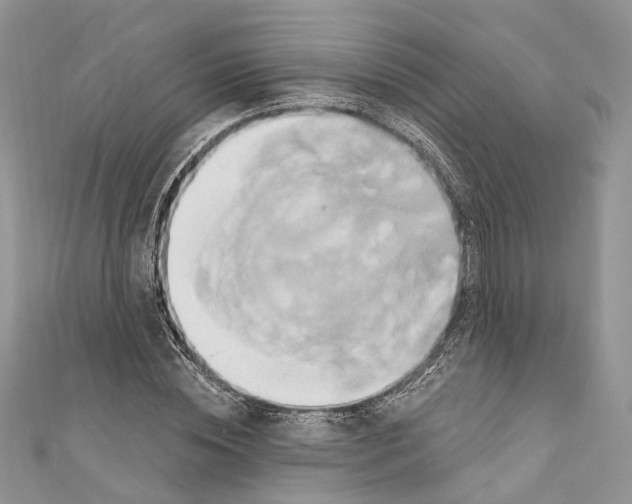 X0000110680828200907241042
