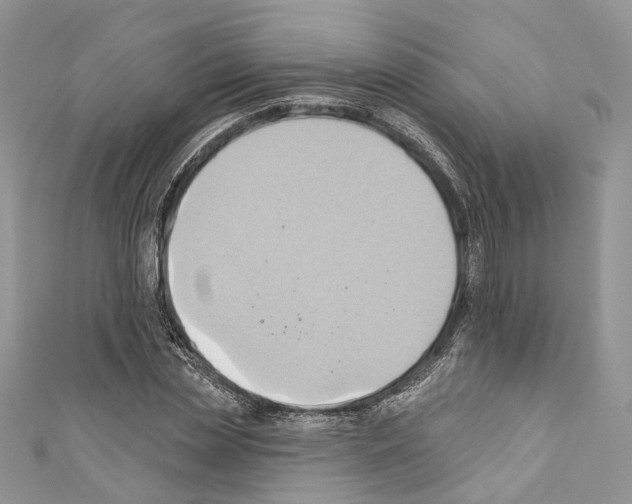 X0000110680829200907241042