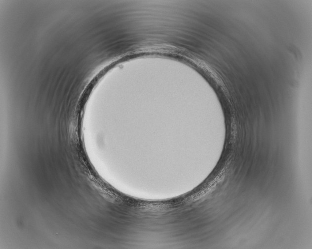 X0000110680830200907241042