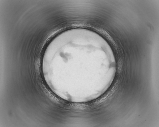 X0000110680831200907241042