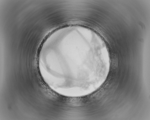 X0000110680832200907241042
