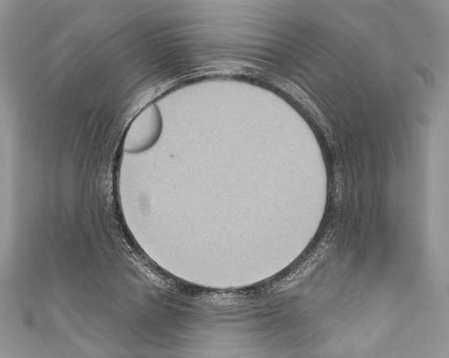 X0000110680834200907241042