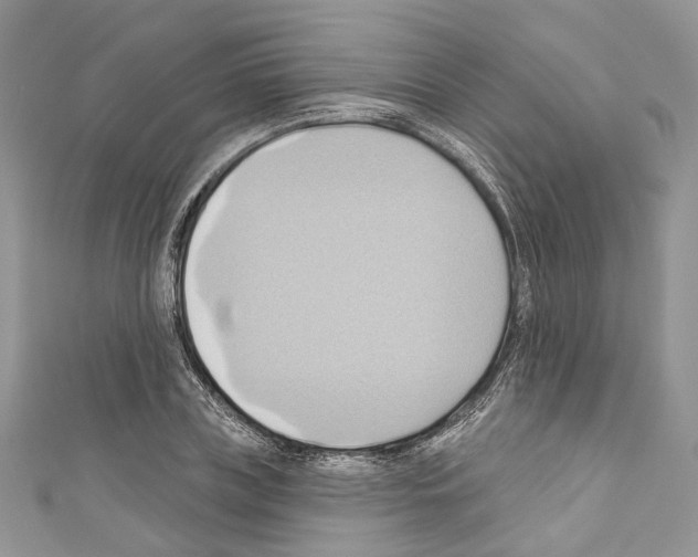X0000110680835200907241042