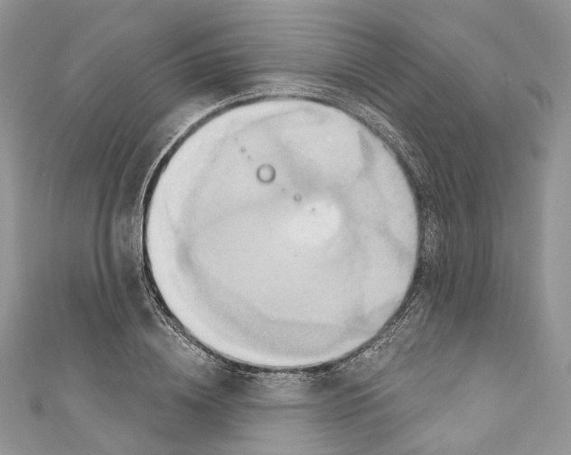 X0000110680836200907241042