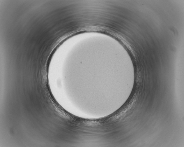 X0000110680837200907241042