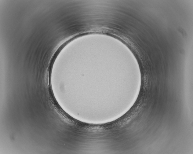 X0000110680838200907241042