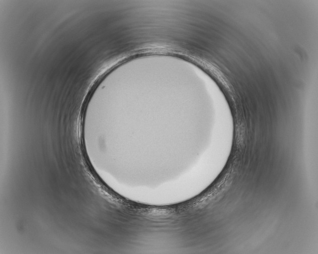 X0000110680839200907241042