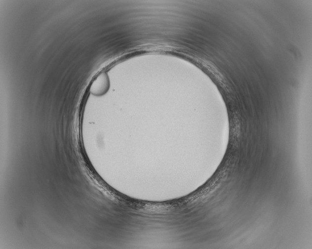 X0000110680840200907241042