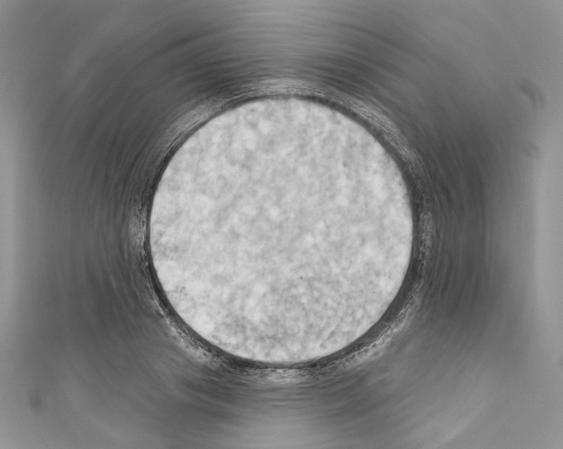X0000110680841200907241042