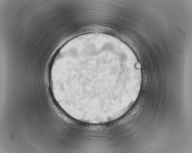 X0000110680843200907241042