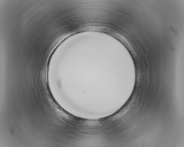 X0000110680844200907241042