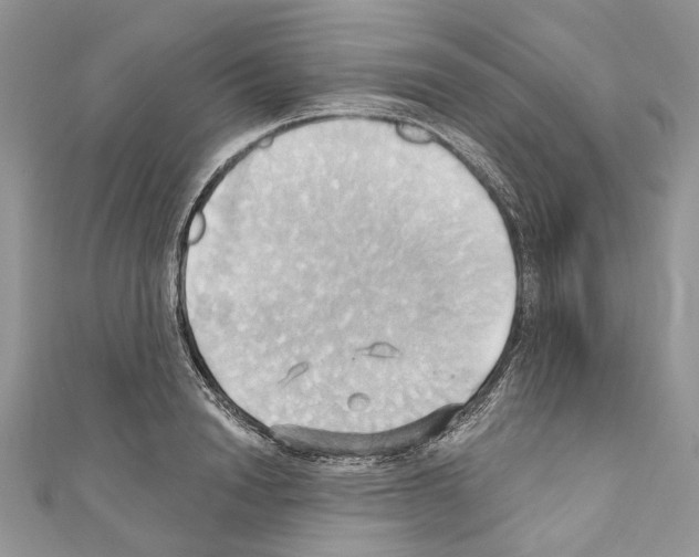 X0000110680846200907241042