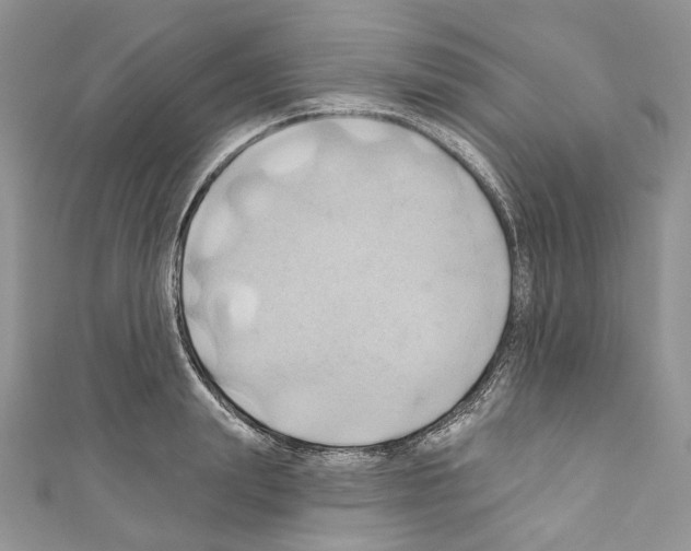 X0000110680847200907241042