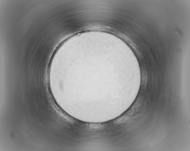 X0000110680848200907241042