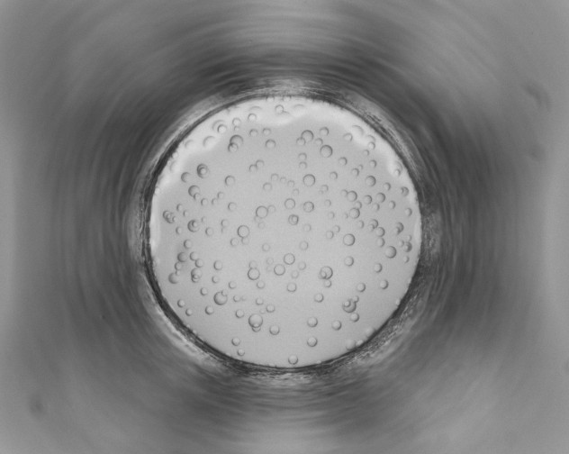 X0000110680851200907241042