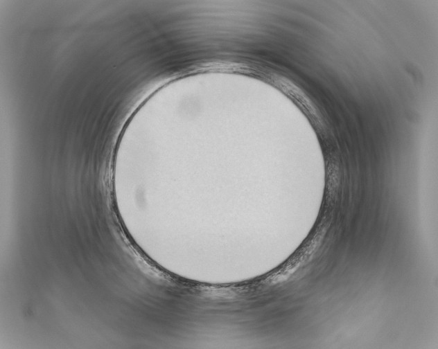 X0000110680852200907241042