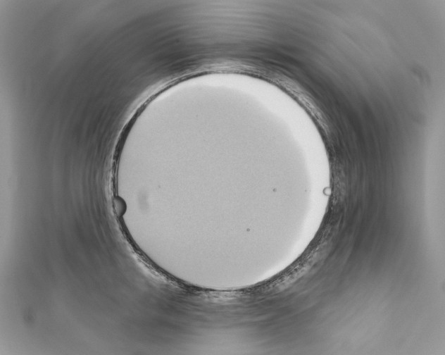 X0000110680853200907241042