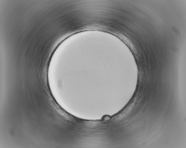X0000110680854200907241042