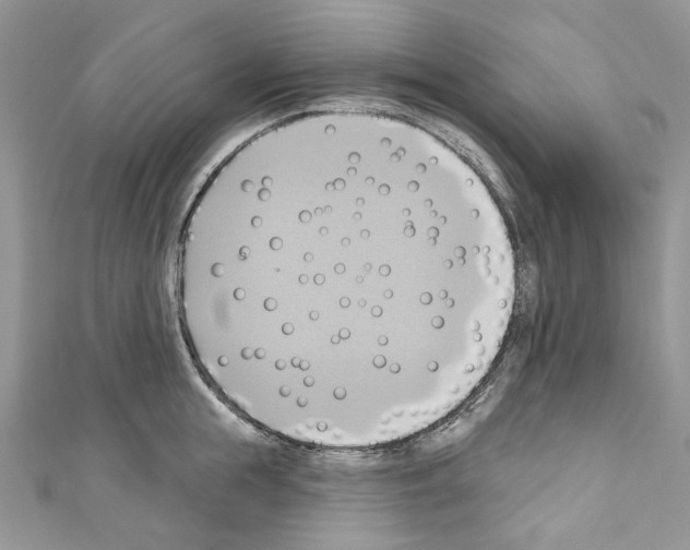 X0000110680855200907241042