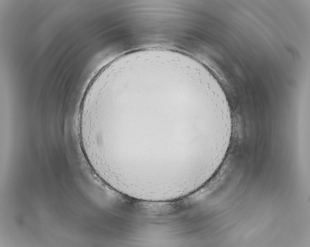 X0000110680856200907241042
