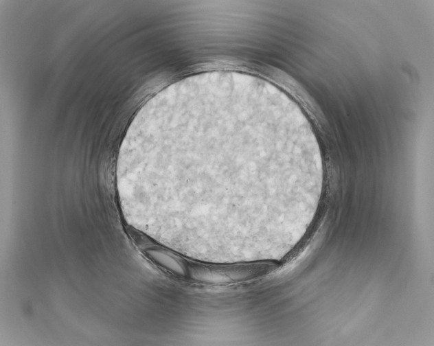 X0000110680857200907241042